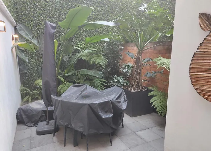 Apartment Zamora By Mr W Mexico City